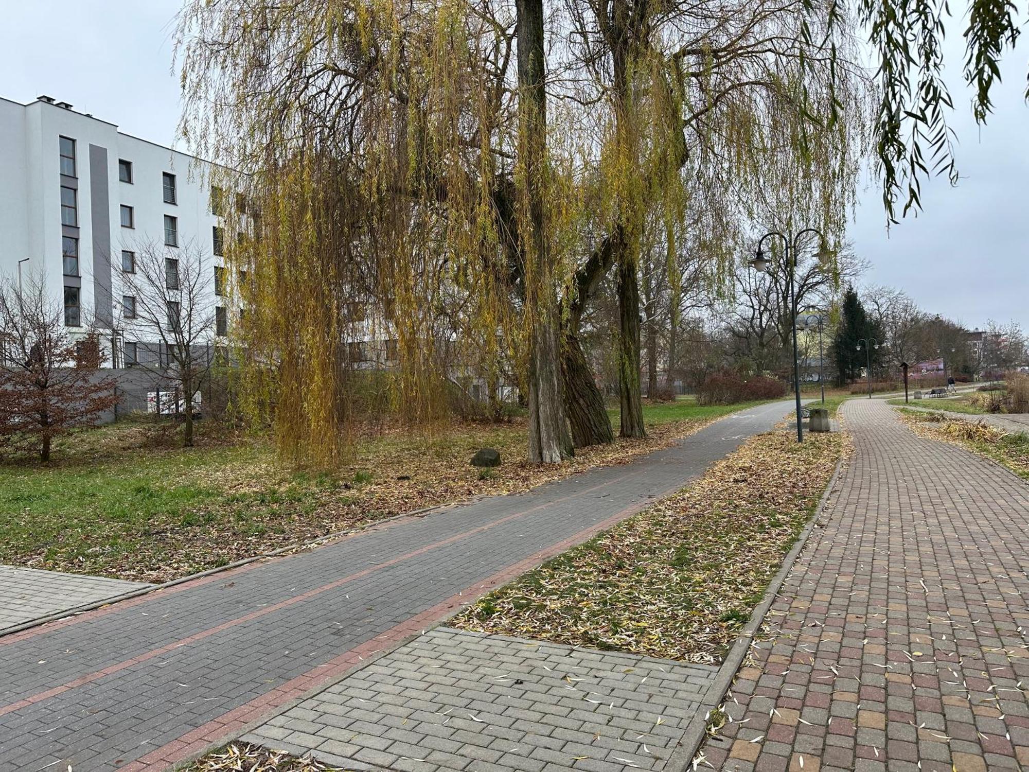 Apartament Kosciuszki 33F Илава Екстериор снимка